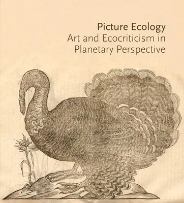 Ecologia dell'immagine: Arte ed ecocritica in prospettiva planetaria - Picture Ecology: Art and Ecocriticism in Planetary Perspective