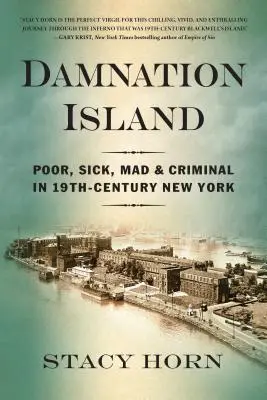 L'isola della dannazione: Poveri, malati, pazzi e criminali nella New York del XIX secolo - Damnation Island: Poor, Sick, Mad, and Criminal in 19th-Century New York