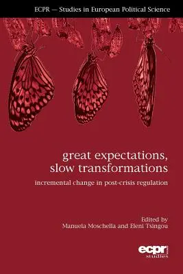 Grandi aspettative, lente trasformazioni: Il cambiamento incrementale nella regolamentazione post-crisi - Great Expectations, Slow Transformations: Incremental Change in Post-Crisis Regulation