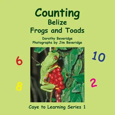 Contare le rane e i rospi del Belize - Counting Belize Frogs and Toads