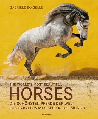 I cavalli più belli del mondo - The World's Most Beautiful Horses