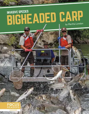 Carpa dalla testa grossa - Bigheaded Carp