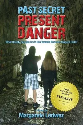 Pericolo presente e segreto passato: Quali segreti mortali si nascondono nei tunnel sotto le cascate del Niagara? - Past Secret Present Danger: What Deadly Secrets Lie in the Tunnels Beneath Niagara Falls?