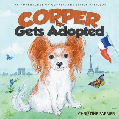 Il rame viene adottato - Copper Gets Adopted