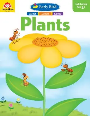 Piante di primo pelo - Early Bird Plants