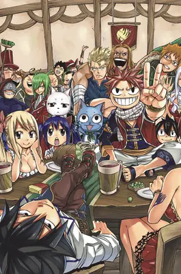 Fairy Tail, cofanetto manga 5 - Fairy Tail Manga Box Set 5
