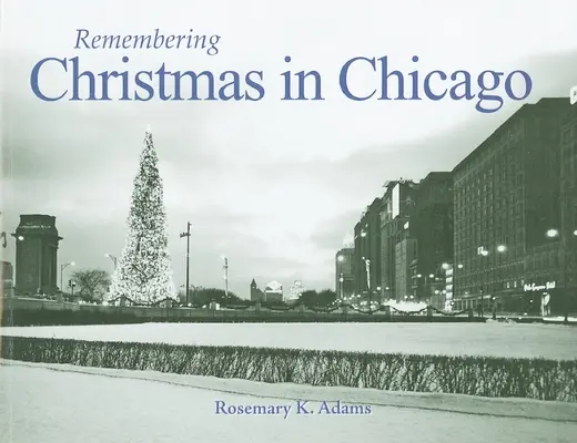 Ricordando il Natale a Chicago - Remembering Christmas in Chicago