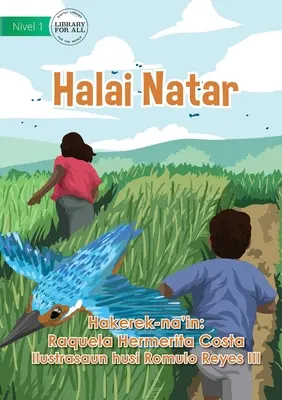 Coltivazione del riso - Halai Natar - Rice Cultivation - Halai Natar