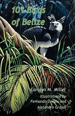 101 uccelli del Belize - 101 Birds of Belize