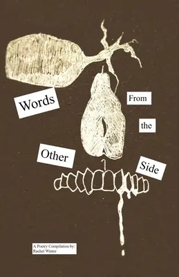 Parole dall'altro lato: Il libro di poesie di una ragazza pazza - Words From the Other Side: A Crazy Girl's Book of Poetry
