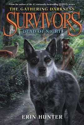 Sopravvissuti: L'oscurità che si riunisce #2: La notte fonda - Survivors: The Gathering Darkness #2: Dead of Night