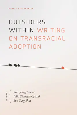 Stranieri dentro: Scrittura sull'adozione transrazziale - Outsiders Within: Writing on Transracial Adoption