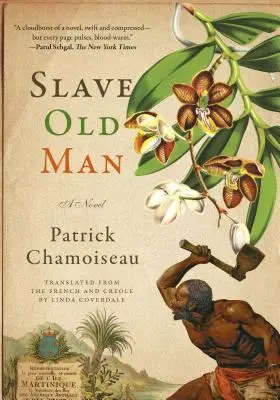 Schiavo Vecchio - Slave Old Man