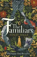 Familiari - L'avvincente bestseller femminista del Sunday Times e scelto dal Club del libro di Richard & Judy - Familiars - The spellbinding feminist Sunday Times Bestseller and Richard & Judy Book Club Pick