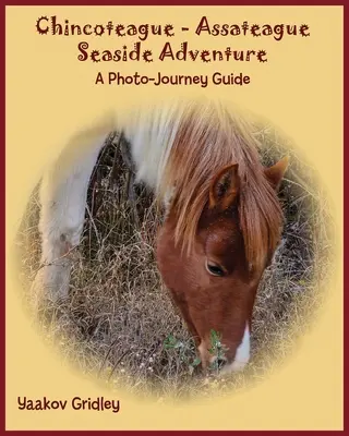 Avventura sul mare di Chincoteague-Assateague: Guida al viaggio fotografico - Chincoteague-Assateague Seaside Adventure: A Photo-Journey Guide