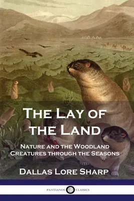 La disposizione della terra: La natura e le creature del bosco attraverso le stagioni - The Lay of the Land: Nature and the Woodland Creatures through the Seasons