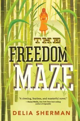 Il labirinto della libertà - The Freedom Maze