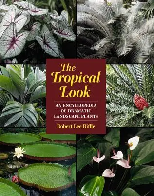 Lo sguardo tropicale: Un'enciclopedia di piante drammatiche per il paesaggio - The Tropical Look: An Encyclopedia of Dramatic Landscape Plants