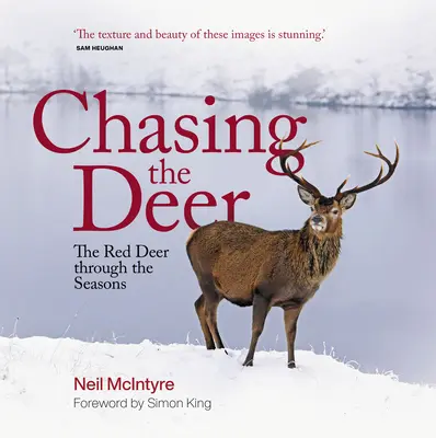 Inseguendo il cervo: Il cervo rosso attraverso le stagioni - Chasing the Deer: The Red Deer Through the Seasons