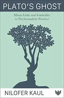 Il fantasma di Platone: Minus link e liminalità nella pratica psicoanalitica - Plato's Ghost: Minus Links and Liminality in Psychoanalytic Practice