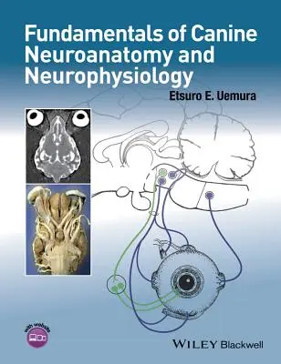 Fondamenti di neuroanatomia e neurofisiologia canina - Fundamentals of Canine Neuroanatomy and Neurophysiology