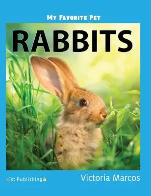 Conigli - Rabbits