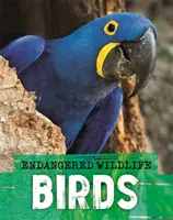 Animali selvatici in pericolo: Salvataggio degli uccelli - Endangered Wildlife: Rescuing Birds
