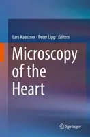 Microscopia del cuore - Microscopy of the Heart