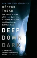 Deep Down Dark: Le storie non raccontate di 33 uomini sepolti in una miniera cilena e il miracolo che li ha liberati - Deep Down Dark: The Untold Stories of 33 Men Buried in a Chilean Mine, and the Miracle that Set them Free