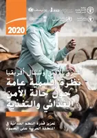Vicino Oriente e Nord Africa - Panoramica regionale sulla sicurezza alimentare e la nutrizione 2020 - Near East and North Africa - Regional Overview of Food Security and Nutrition 2020