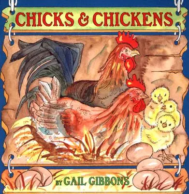 Pulcini e galline - Chicks & Chickens