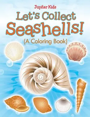 Raccogliamo conchiglie! (Un libro da colorare) - Let's Collect Seashells! (A Coloring Book)