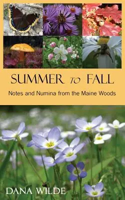 Dall'estate all'autunno - Summer to Fall