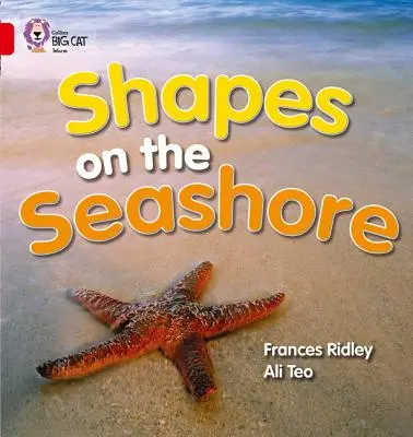 Forme in riva al mare - Shapes on the Seashore