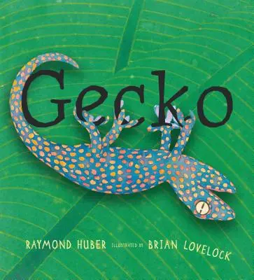 Geco - Gecko
