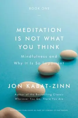 La meditazione non è quello che pensate: La consapevolezza e perché è così importante - Meditation Is Not What You Think: Mindfulness and Why It Is So Important