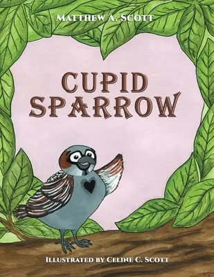 Cupido Passero - Cupid Sparrow