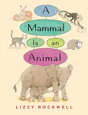 Un mammifero è un animale - A Mammal Is an Animal