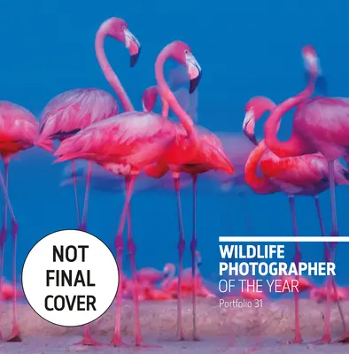 Fotografo della fauna selvatica dell'anno: Portfolio 31, 31 - Wildlife Photographer of the Year: Portfolio 31, 31