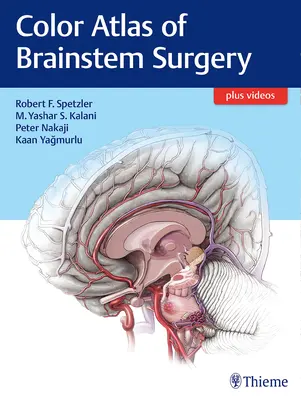 Atlante a colori della chirurgia del tronco encefalico - Color Atlas of Brainstem Surgery