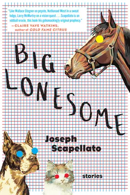 Il grande solitario - Big Lonesome