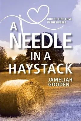 Un ago in un pagliaio: Come trovare l'amore tra le macerie - A Needle in a Haystack: How to Find Love in the Rubble