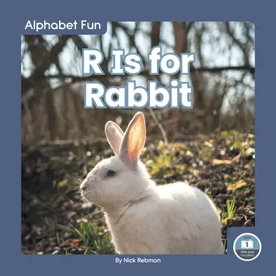 R sta per Coniglio - R Is for Rabbit