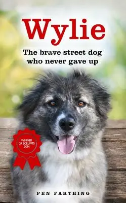 Wylie: Il coraggioso cane di strada che non si arrendeva mai - Wylie: The Brave Street Dog Who Never Gave Up