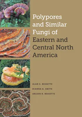 Polipori e funghi simili del Nord America orientale e centrale - Polypores and Similar Fungi of Eastern and Central North America