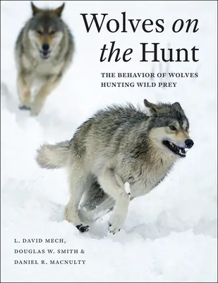 Lupi a caccia: Il comportamento dei lupi a caccia di prede selvatiche - Wolves on the Hunt: The Behavior of Wolves Hunting Wild Prey