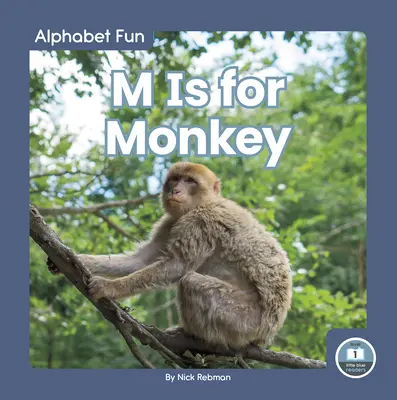 M sta per Scimmia - M Is for Monkey