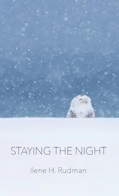 Rimanere la notte - Staying The Night