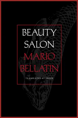 Salone di bellezza - Beauty Salon