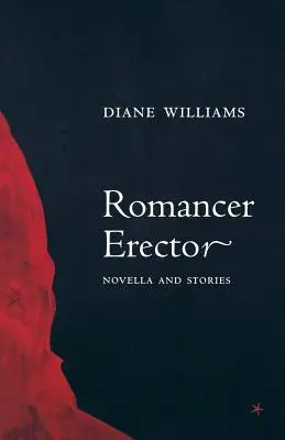 Erettore di romanzi - Romancer Erector